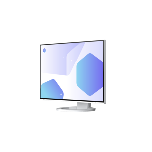 EIZO EIZO EV2485-WT