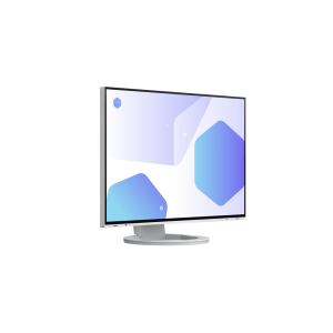 EIZO EIZO EV2485-WT