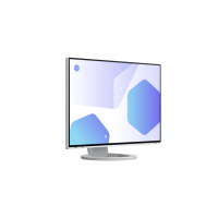 EIZO EIZO EV2485-WT