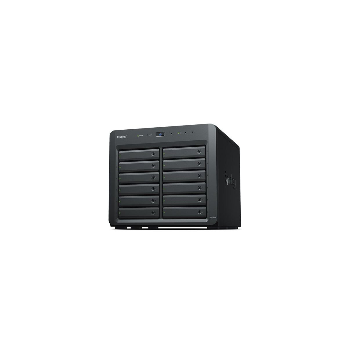 Synology DX1215II Speicherlaufwerksgeh&a box