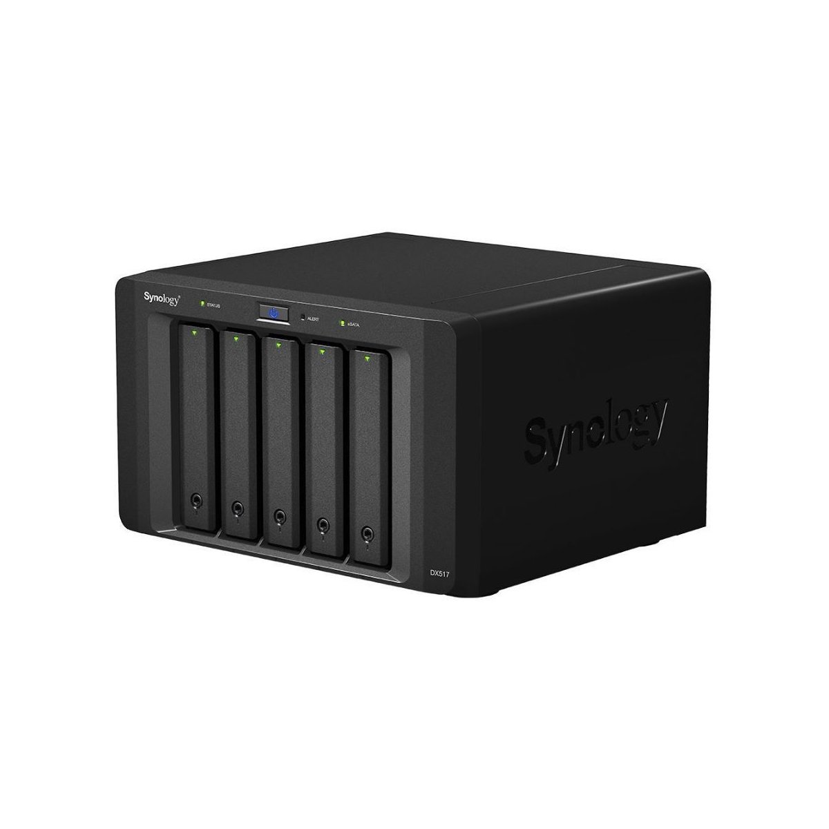 DX517 Synology