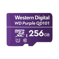 WDD256G1P0C Western Digital