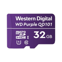 WDD032G1P0C Western Digital