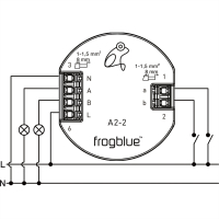 A2-2-300.01 Frogblue